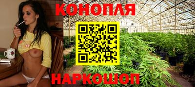 стаф Тара