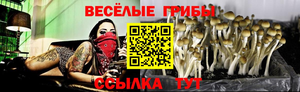 Галлюциногенные грибы прущие грибы  Вход с VPN  дарнет шоп  Нефтеюганск 